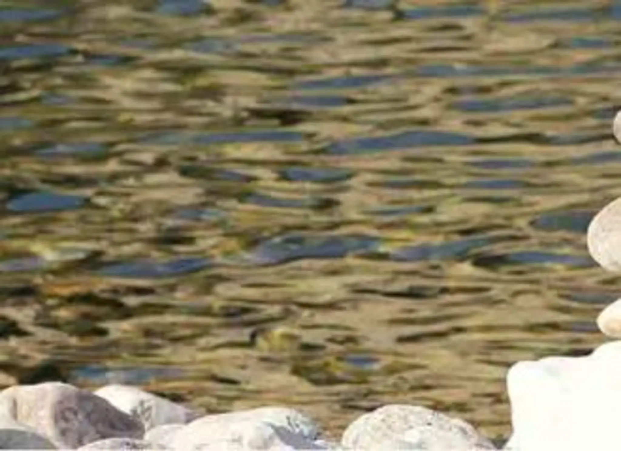 Qigong Sydney | Free Classes