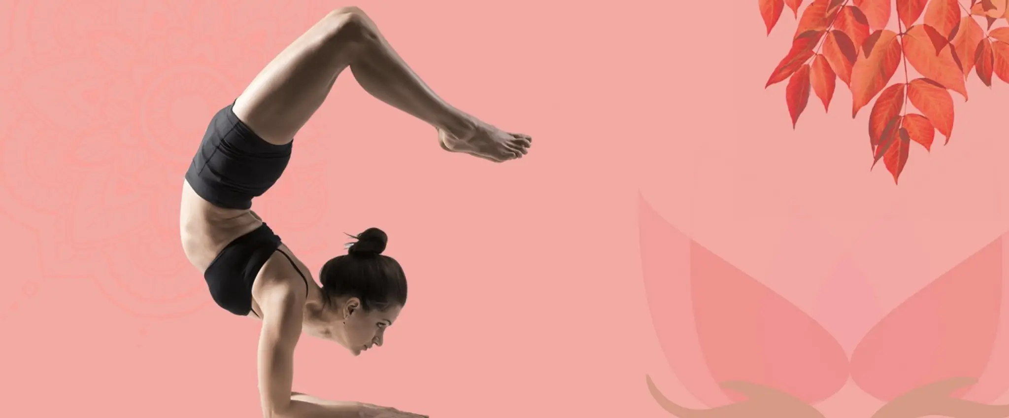 Divya Yoga Institute