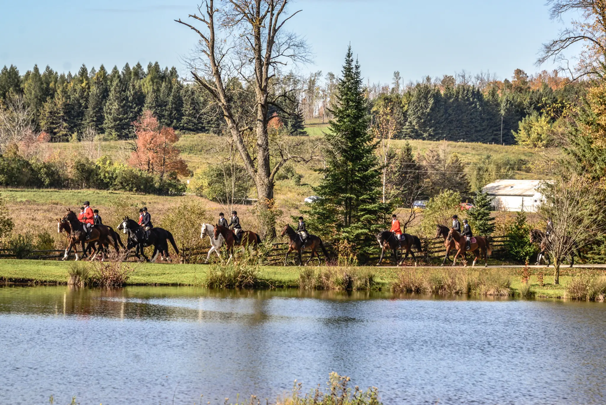 Eglinton and Caledon Hounds