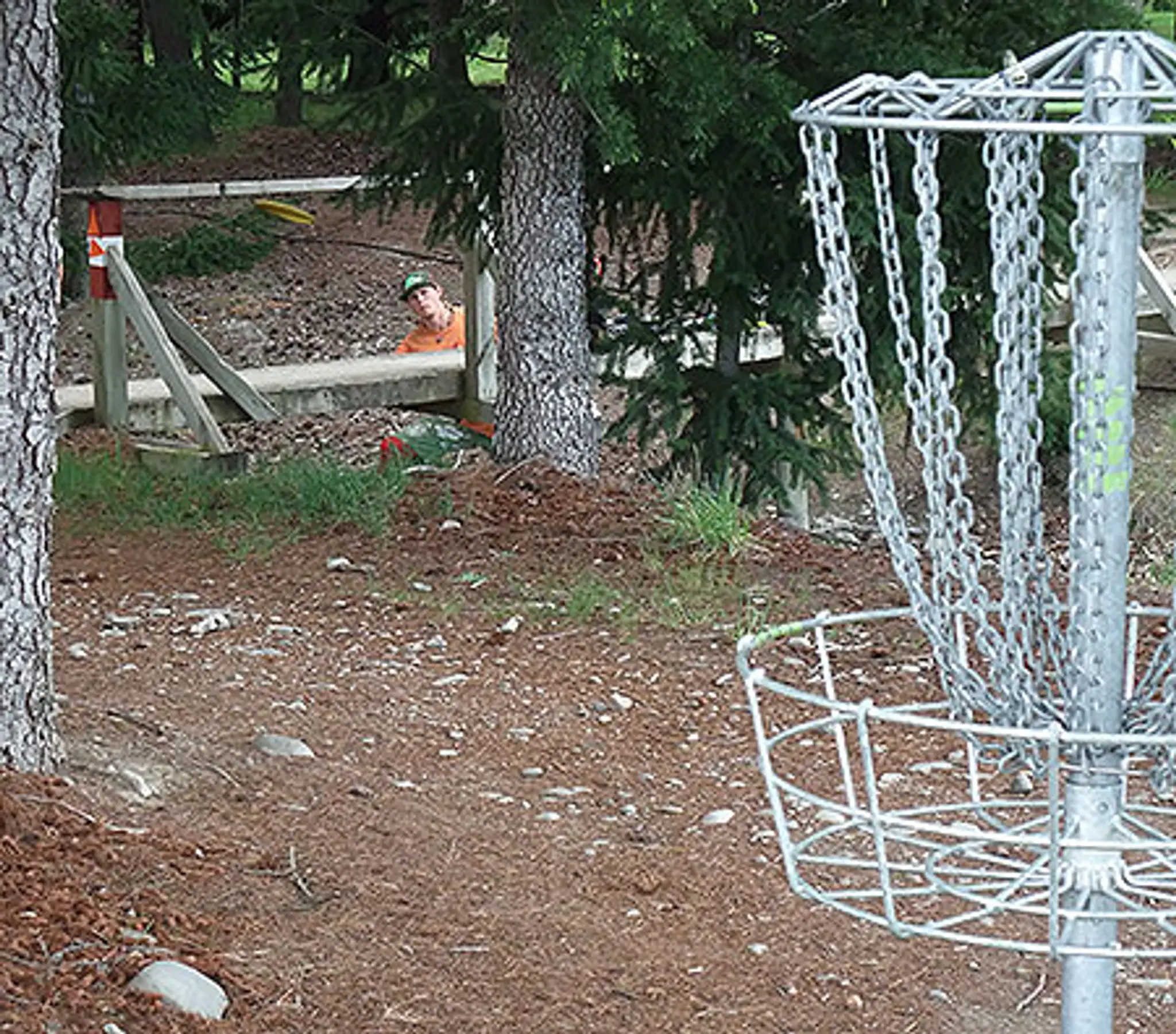 Twizel disc golf course