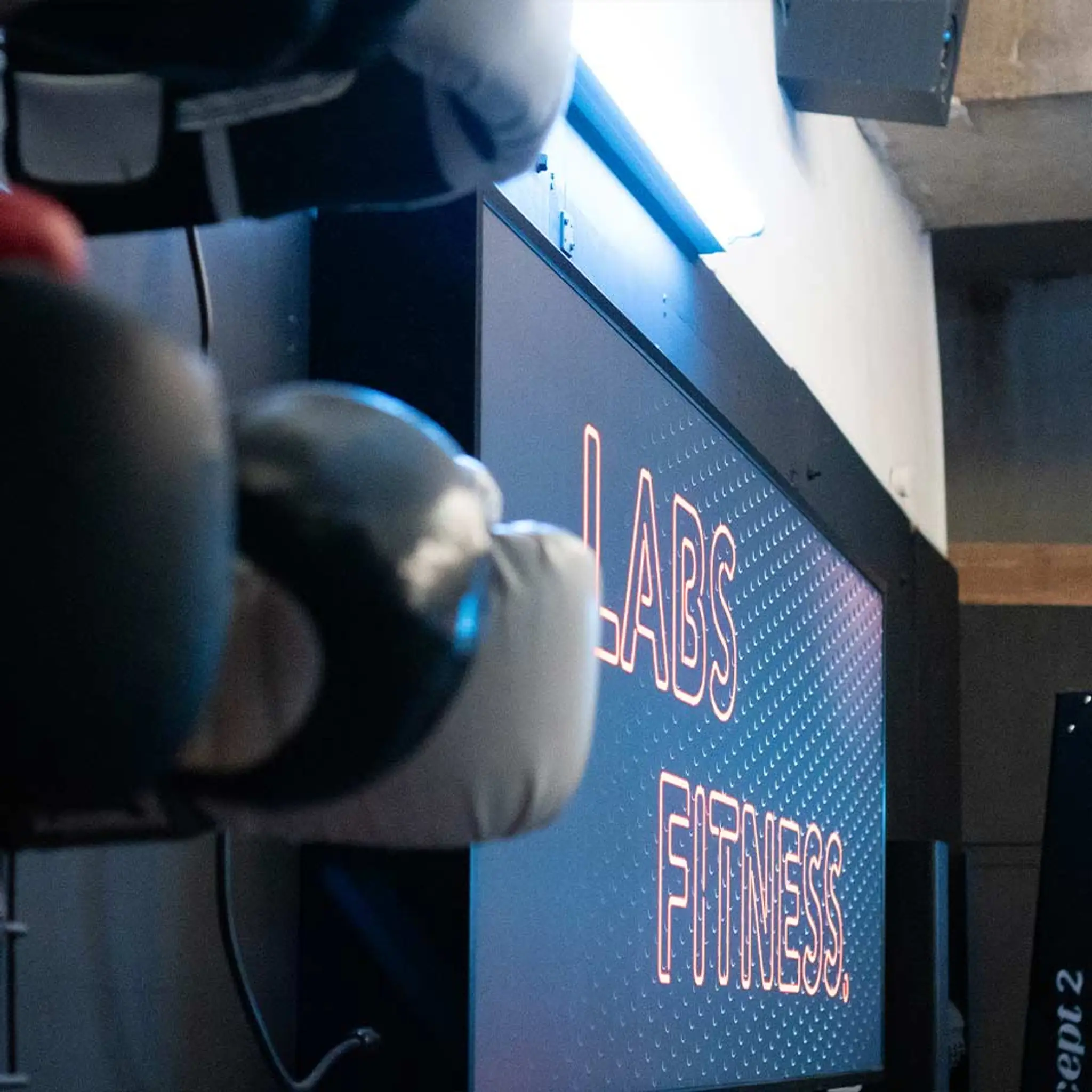 Labs Fitness