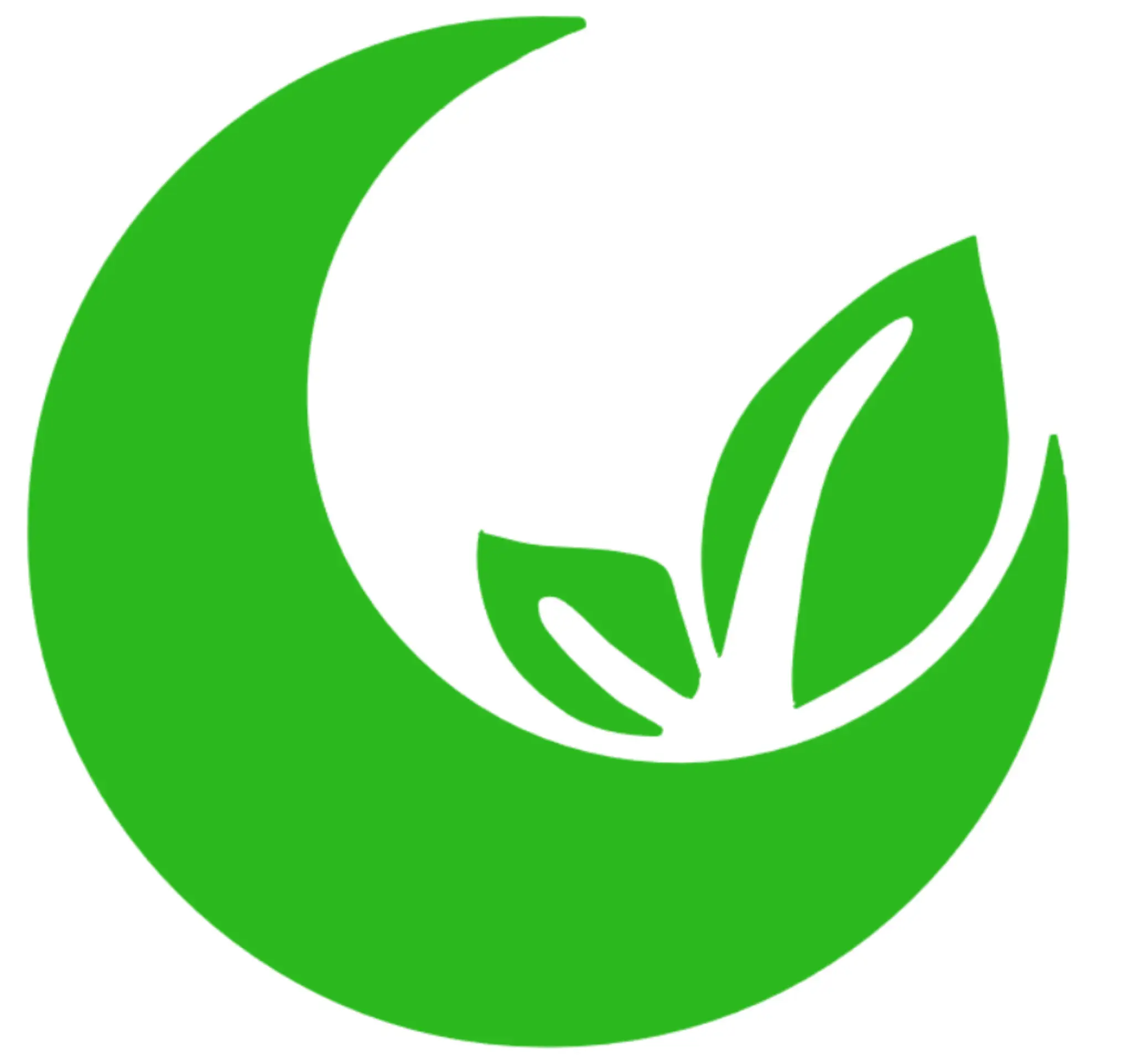 4 Elements Martial Arts