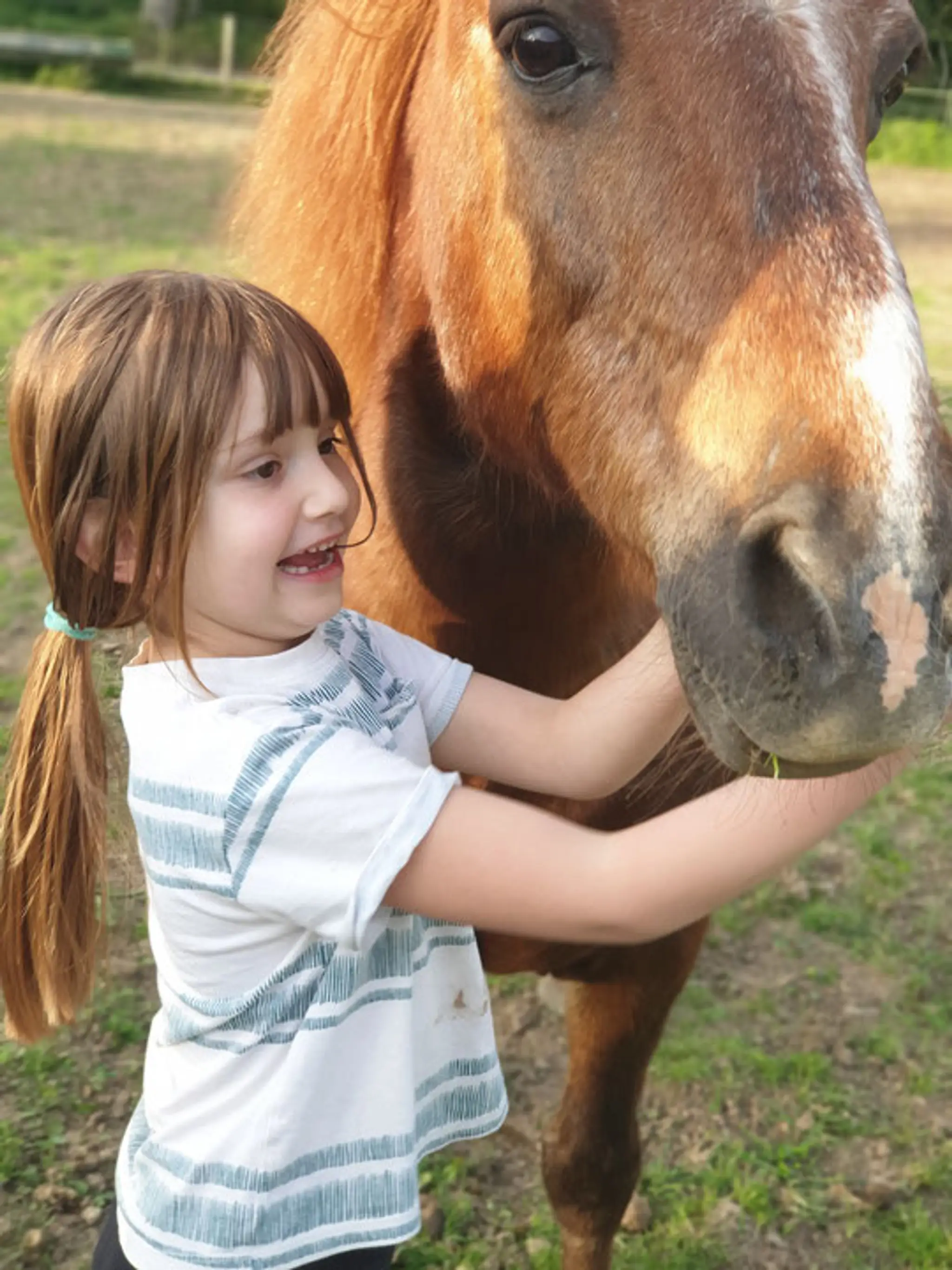 The Equestrian Center Vallée Des Bois