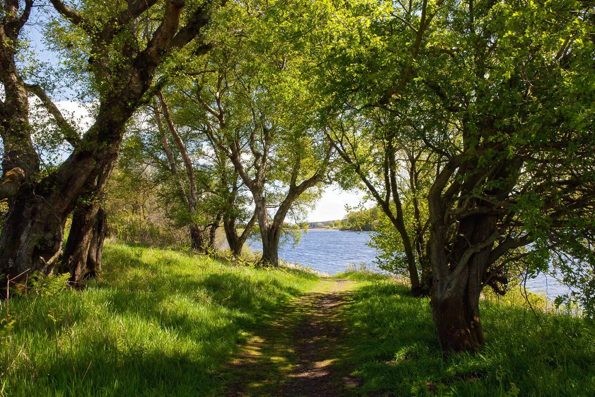 Fontburn Reservoir Fisheries