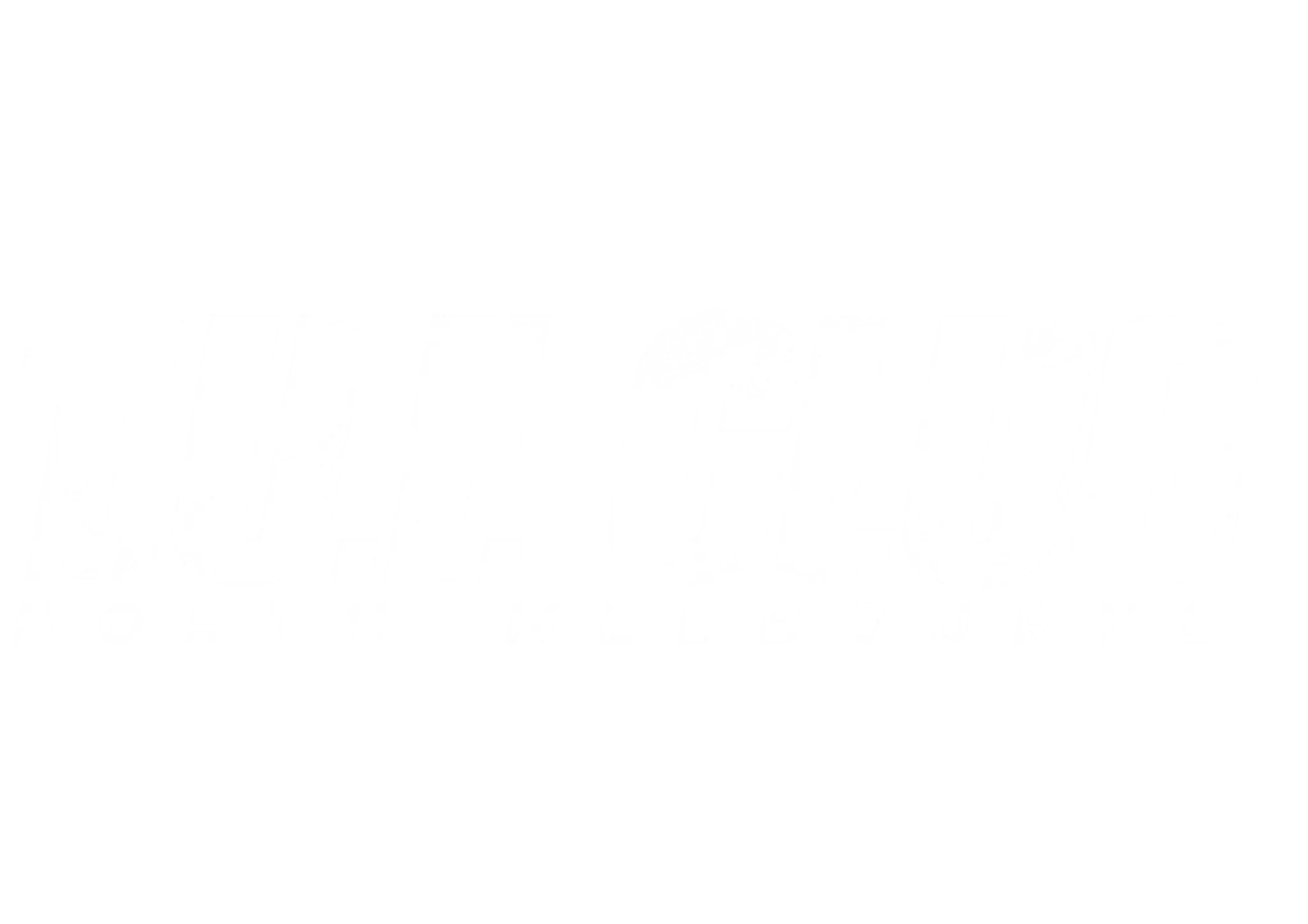 The Underground Fitness Club