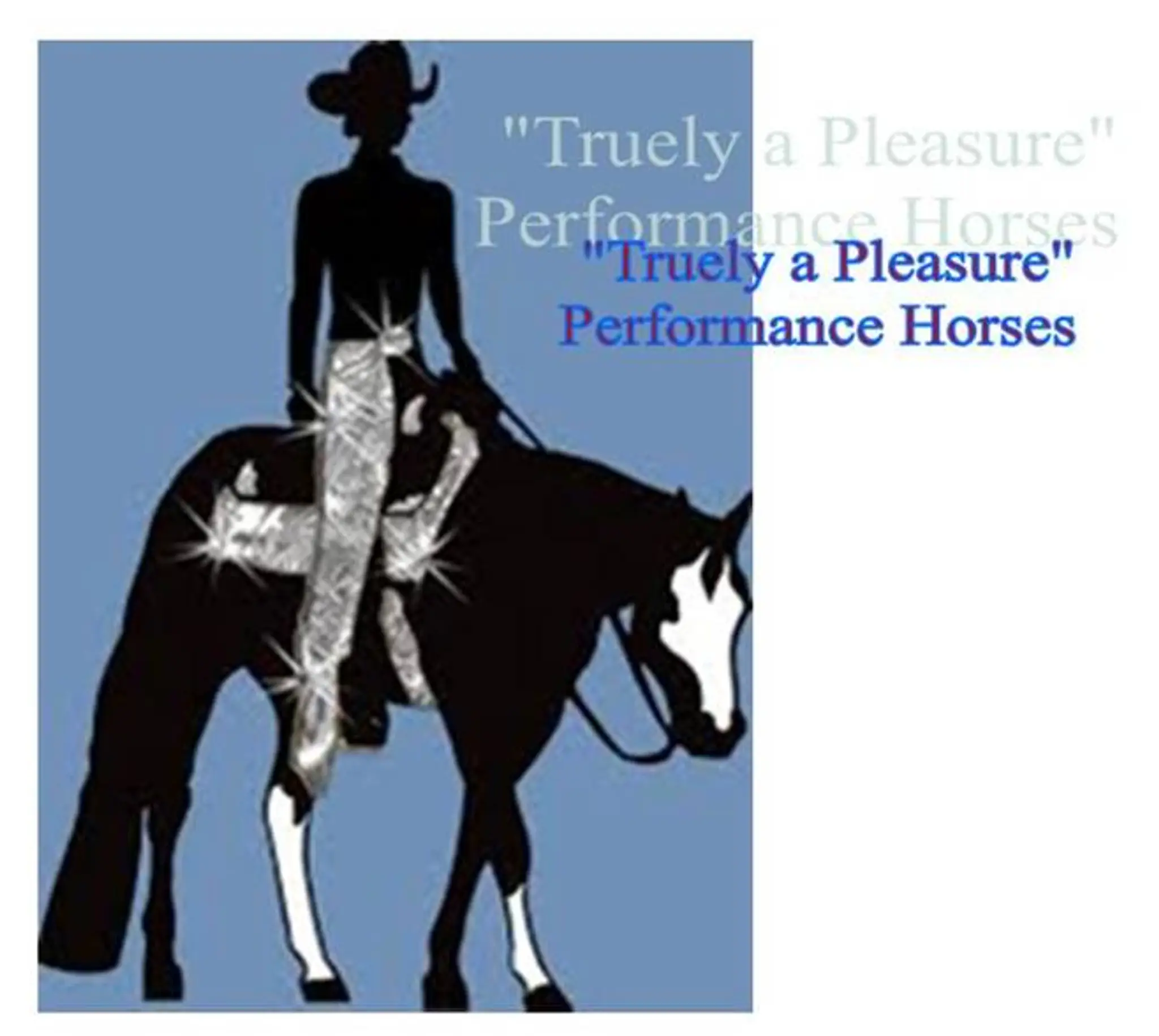 In-Pursuit-of-Excellence