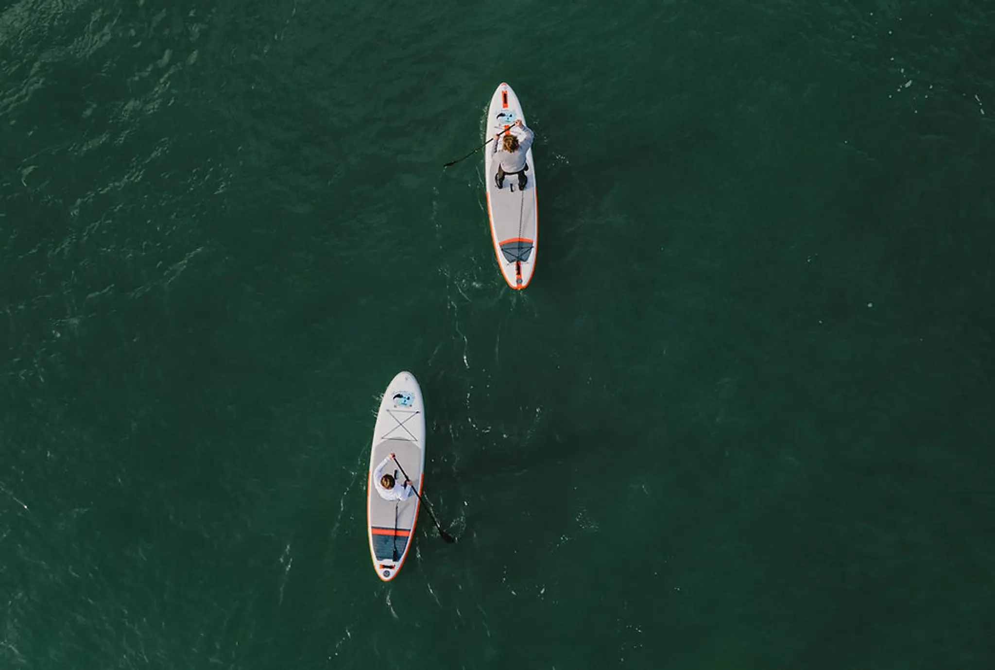 Eddie's Surf Academy