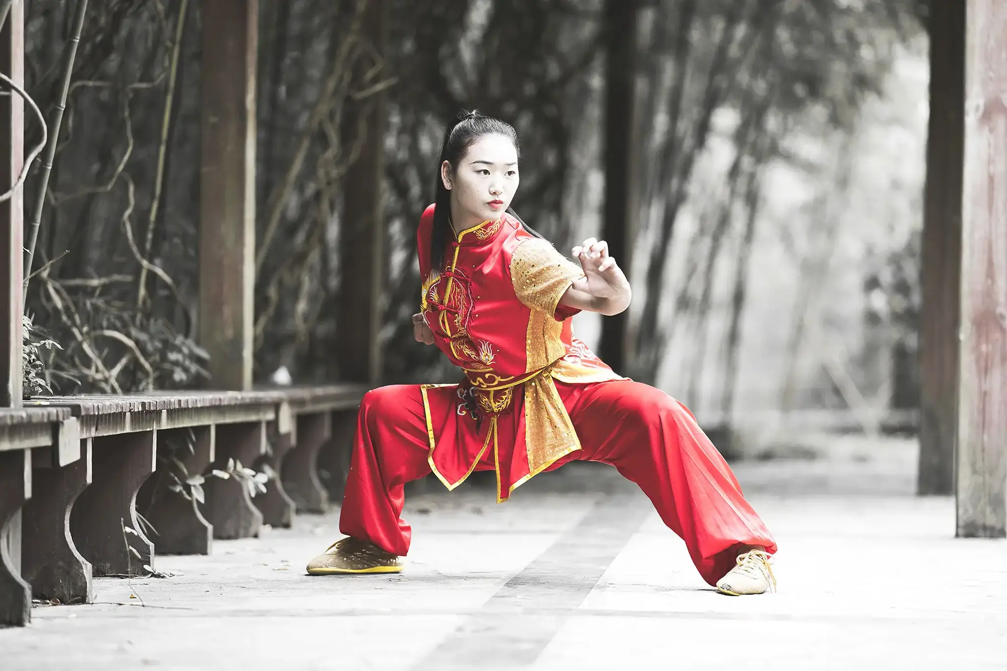 Kung Fu Club Choletais