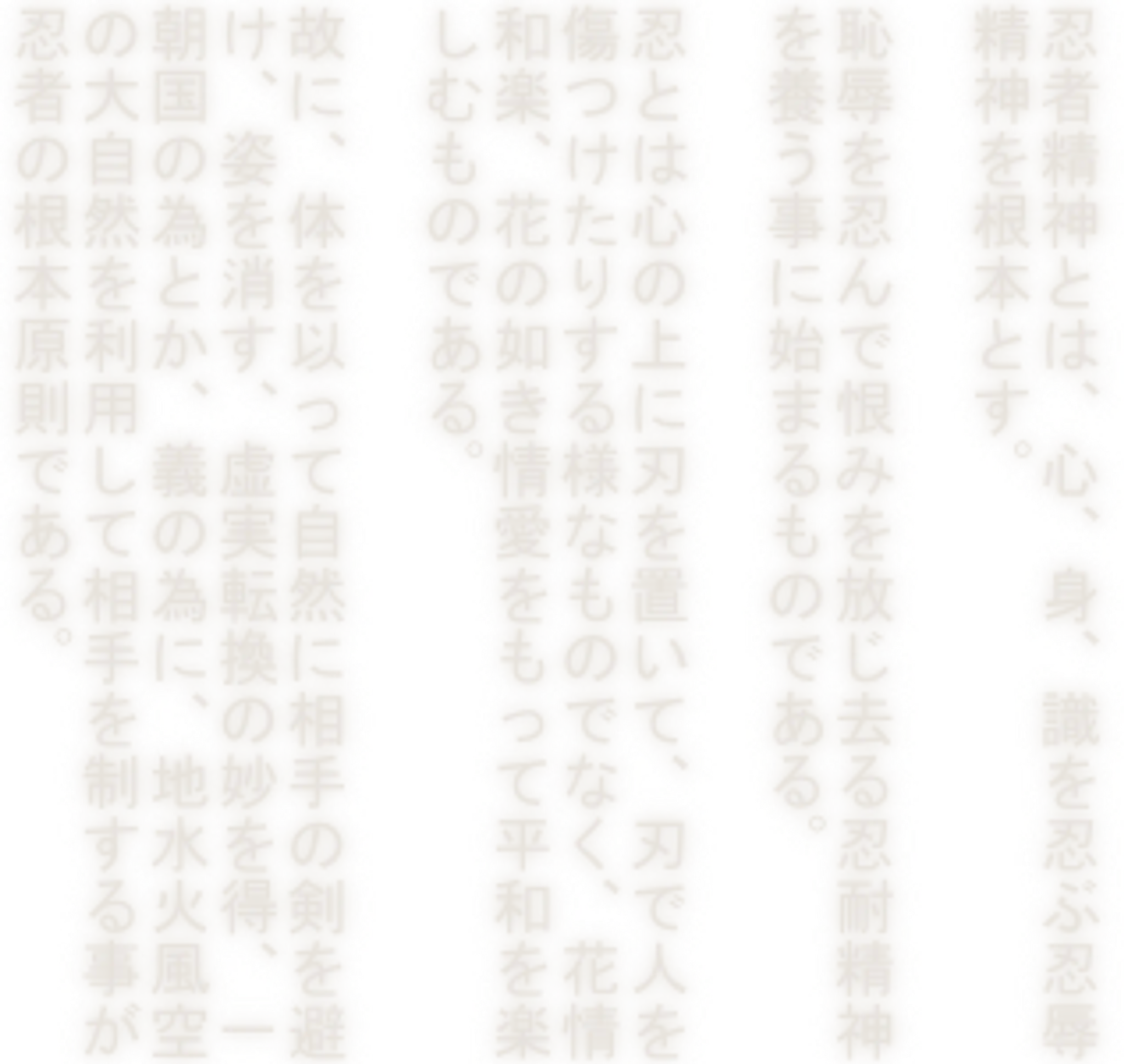 Genbukan Ninpo (Ninjutsu) - Ten Puh Dojo