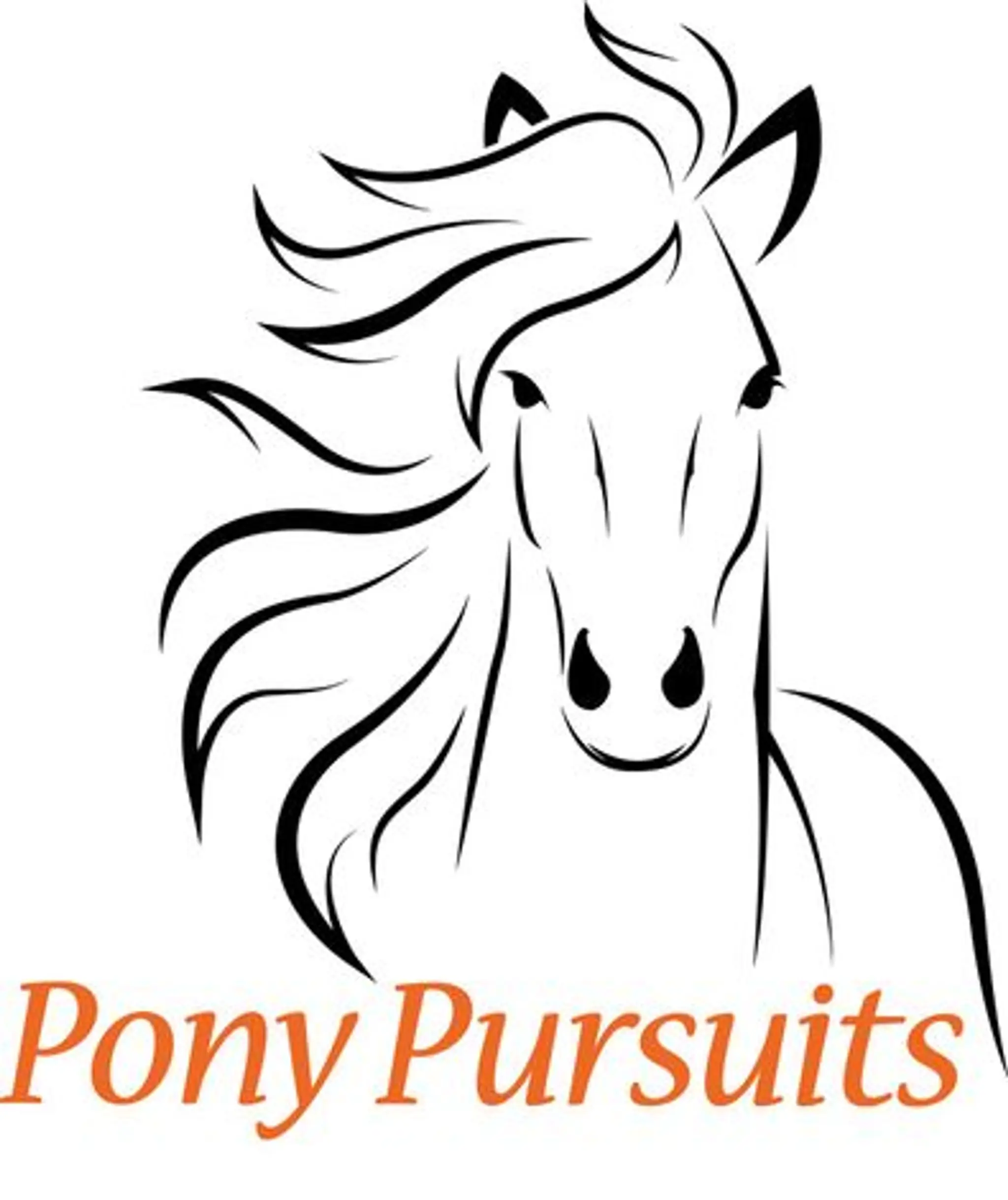 Pony Pursuits