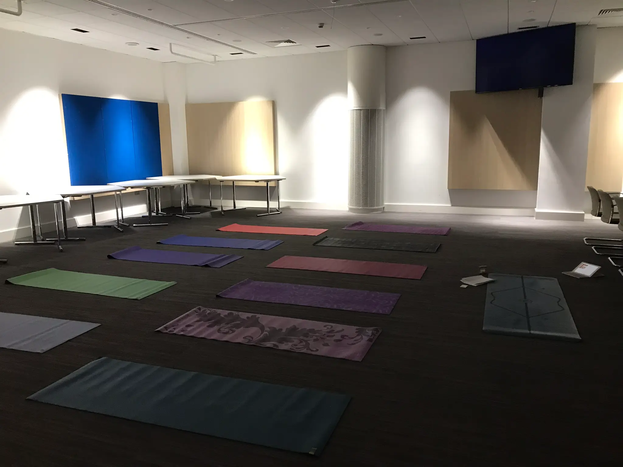 Aurora Mind and Body Ltd.