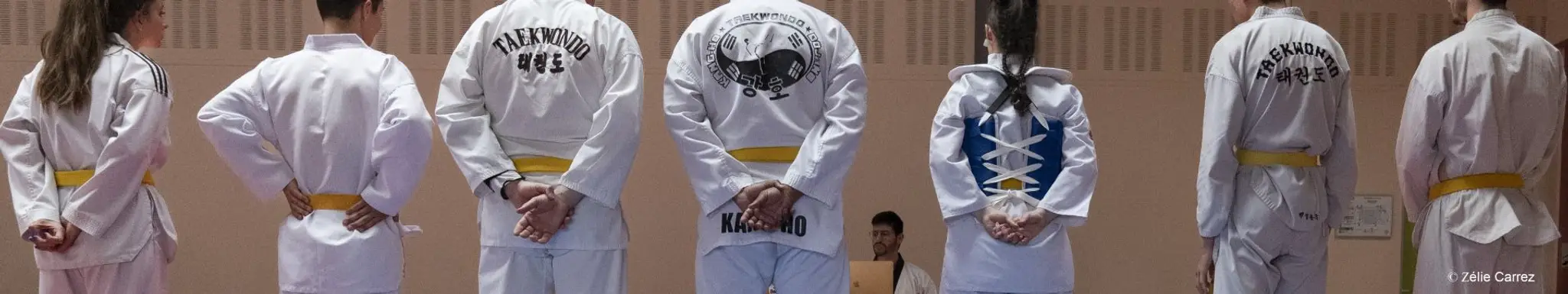 Taekwondo club du Parc