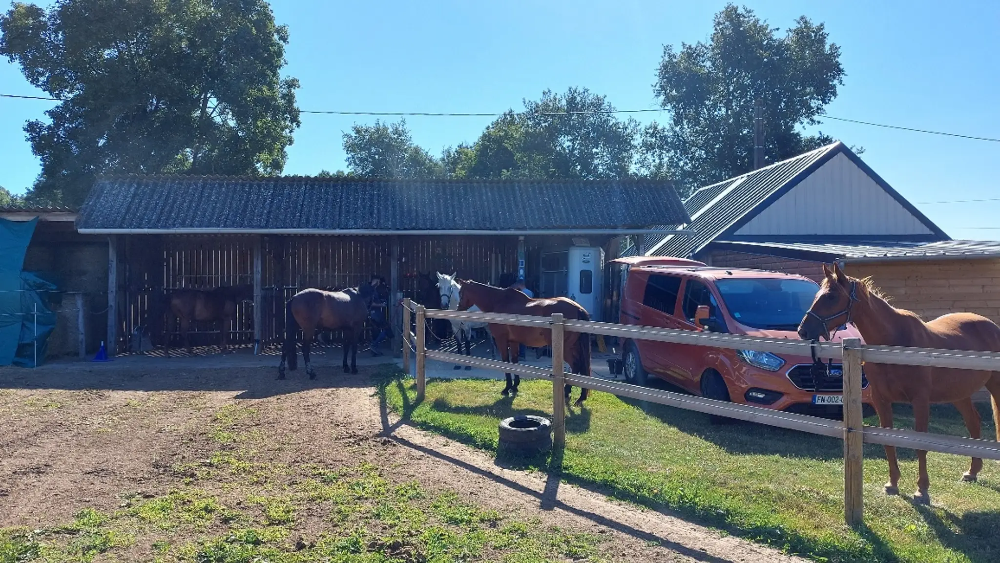 Livestock Des Rosiers