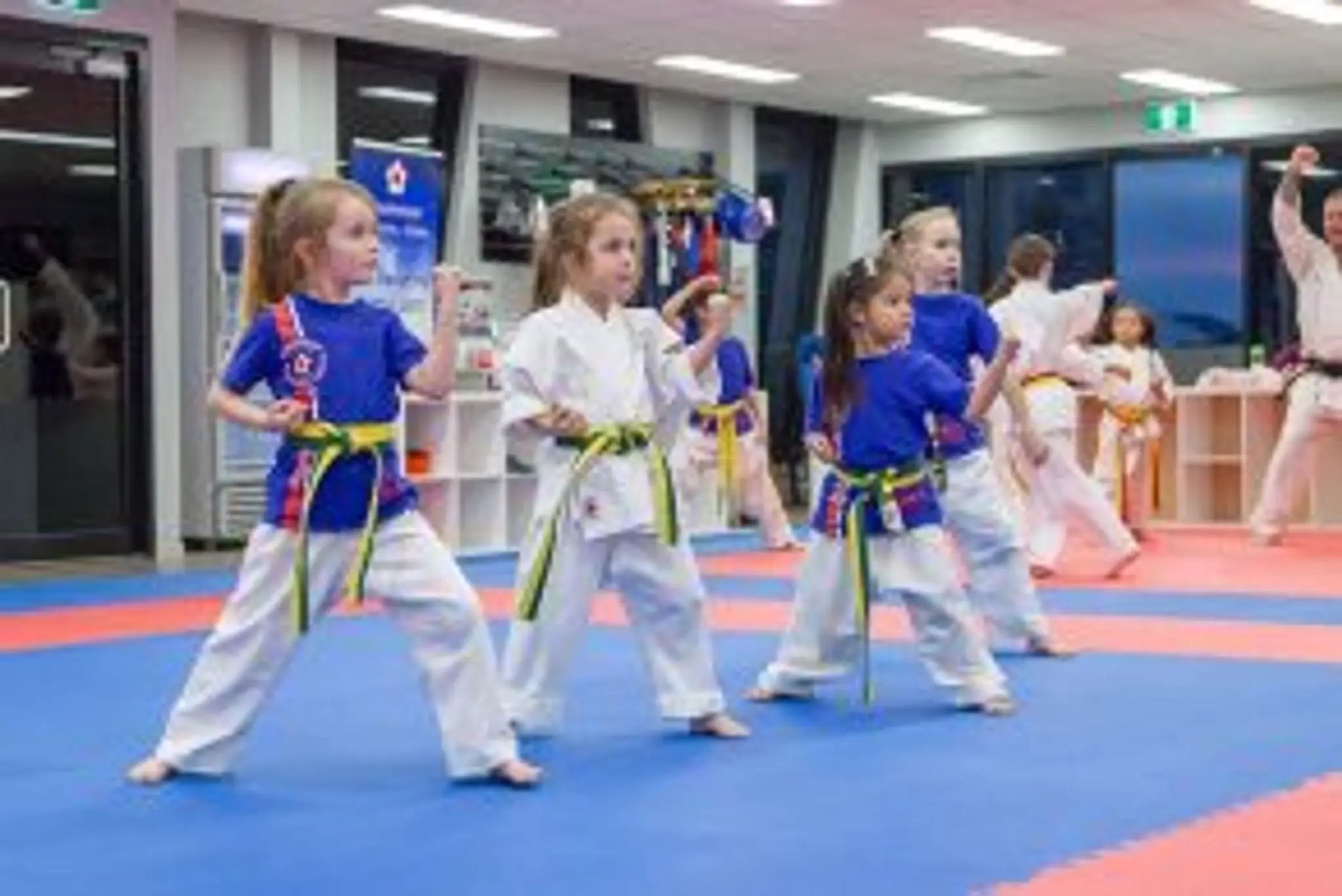 Shobukan Martial Arts Morley