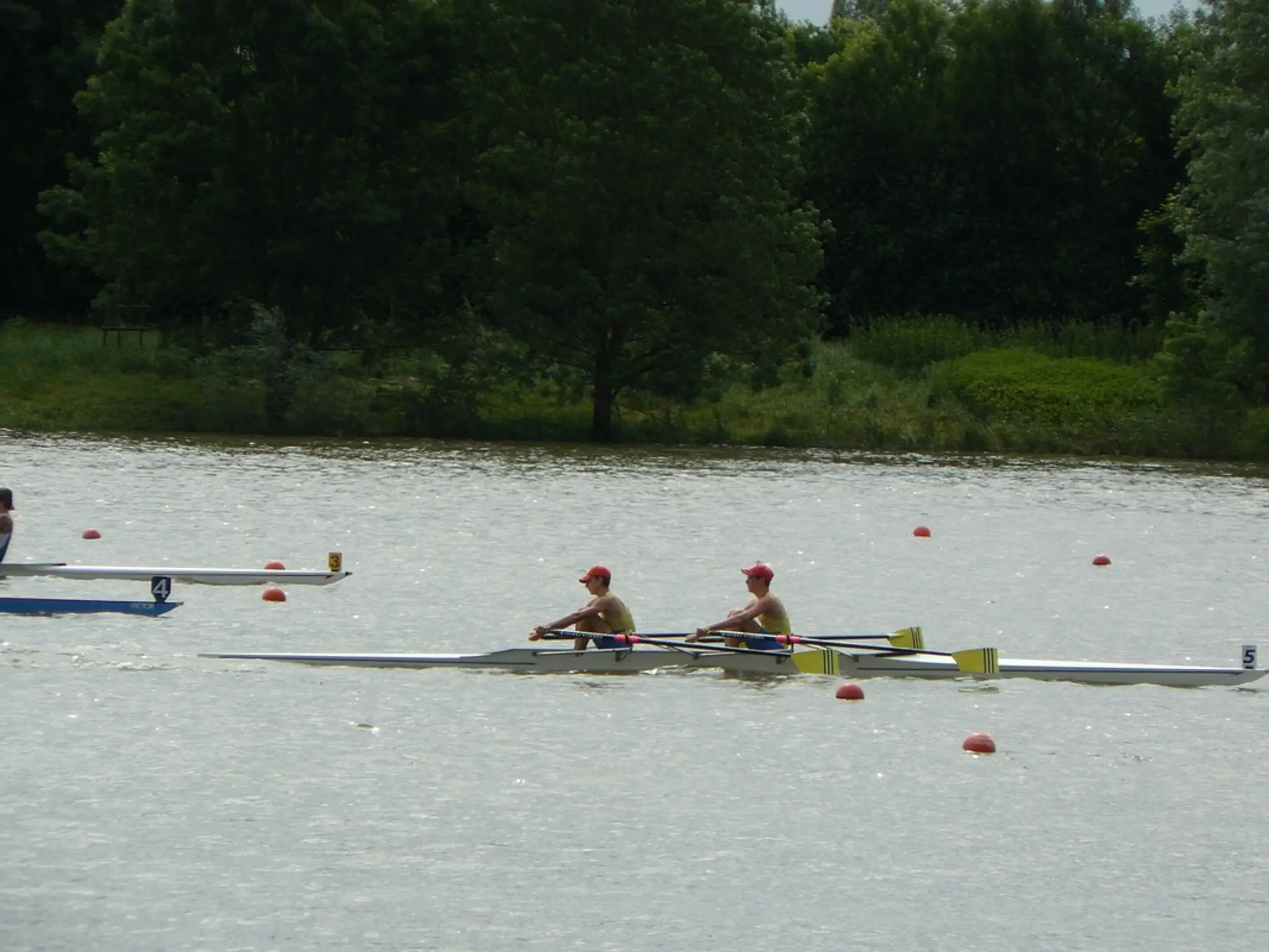 Comité départemental d'Aviron Hérault