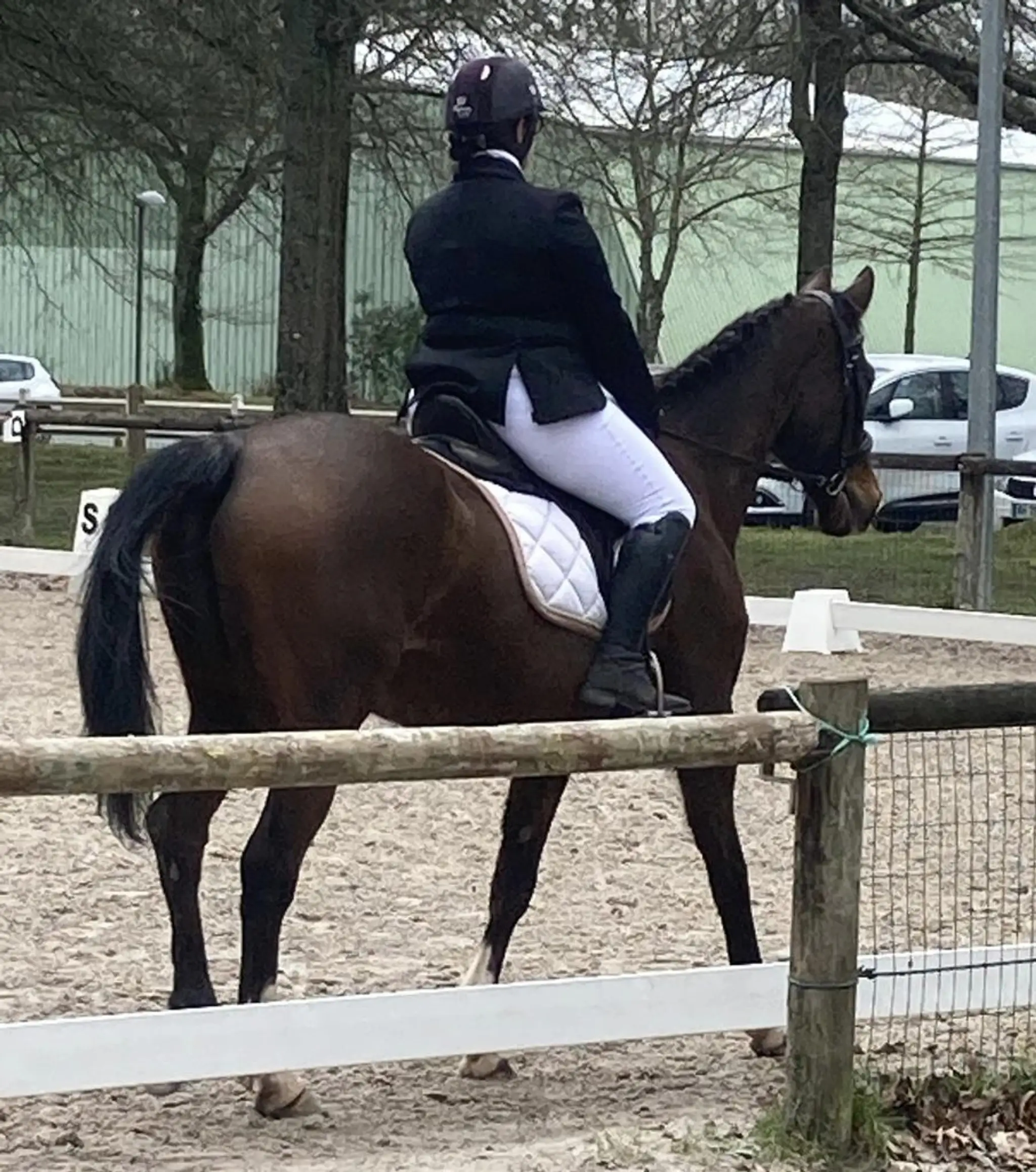 ECURIES DE MONCONSEIL