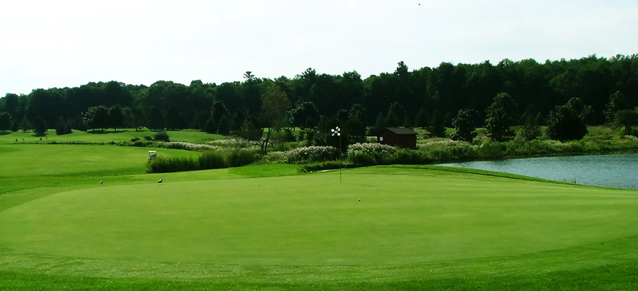 Royal Stouffville Golf Course