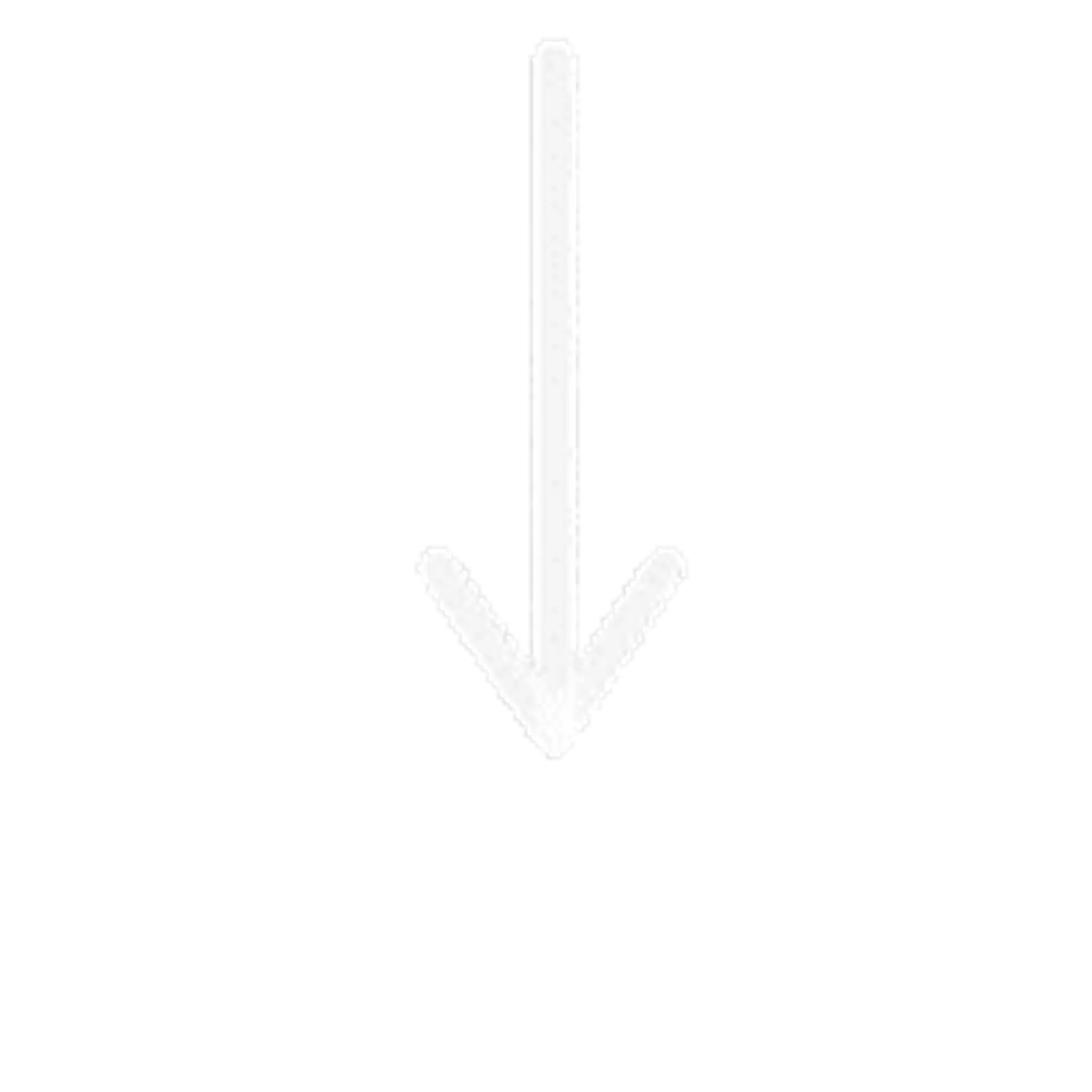 MVP2 Fitness & Nutrition