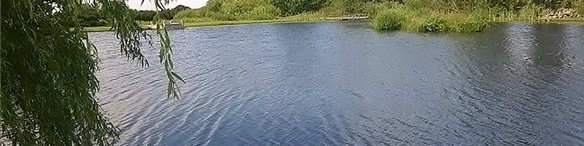 Tan-y-Mynydd Trout Fishery