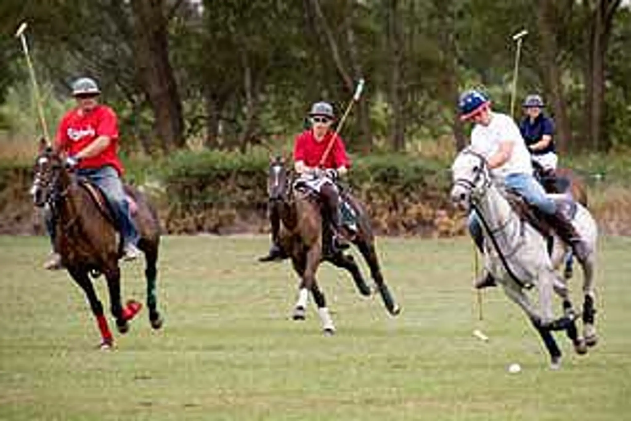 Blue Springs Polo