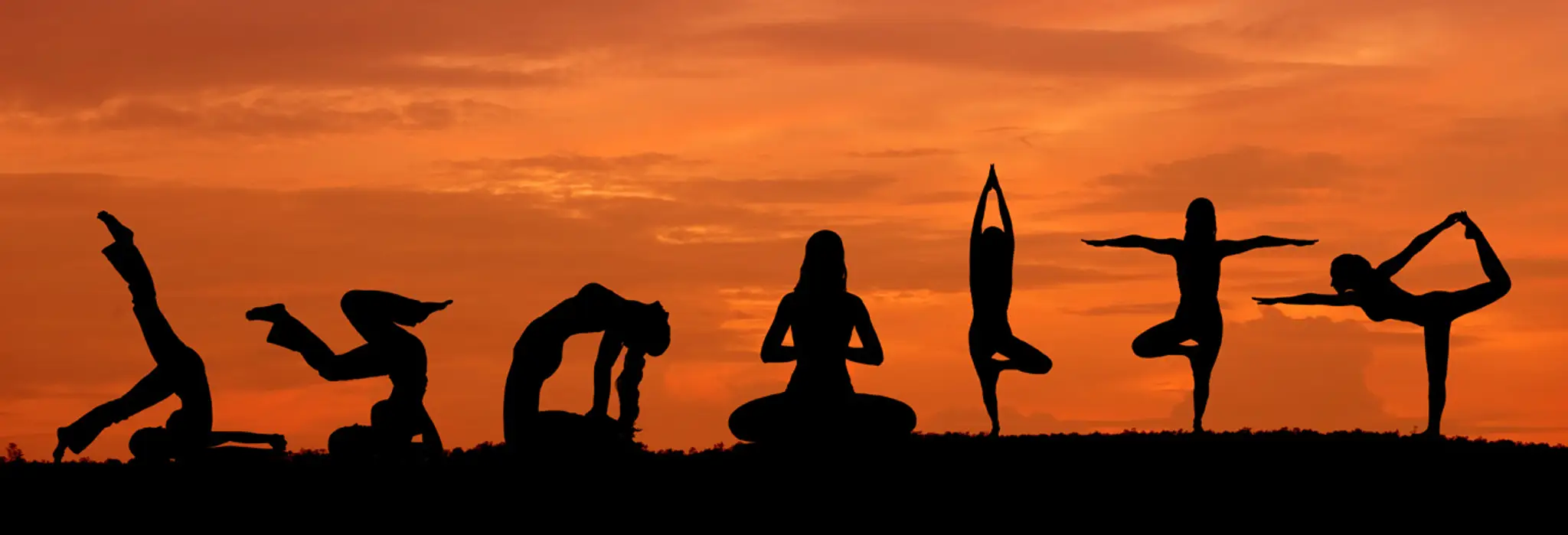 VY Yoga & Dance by Natural Yoga Classes