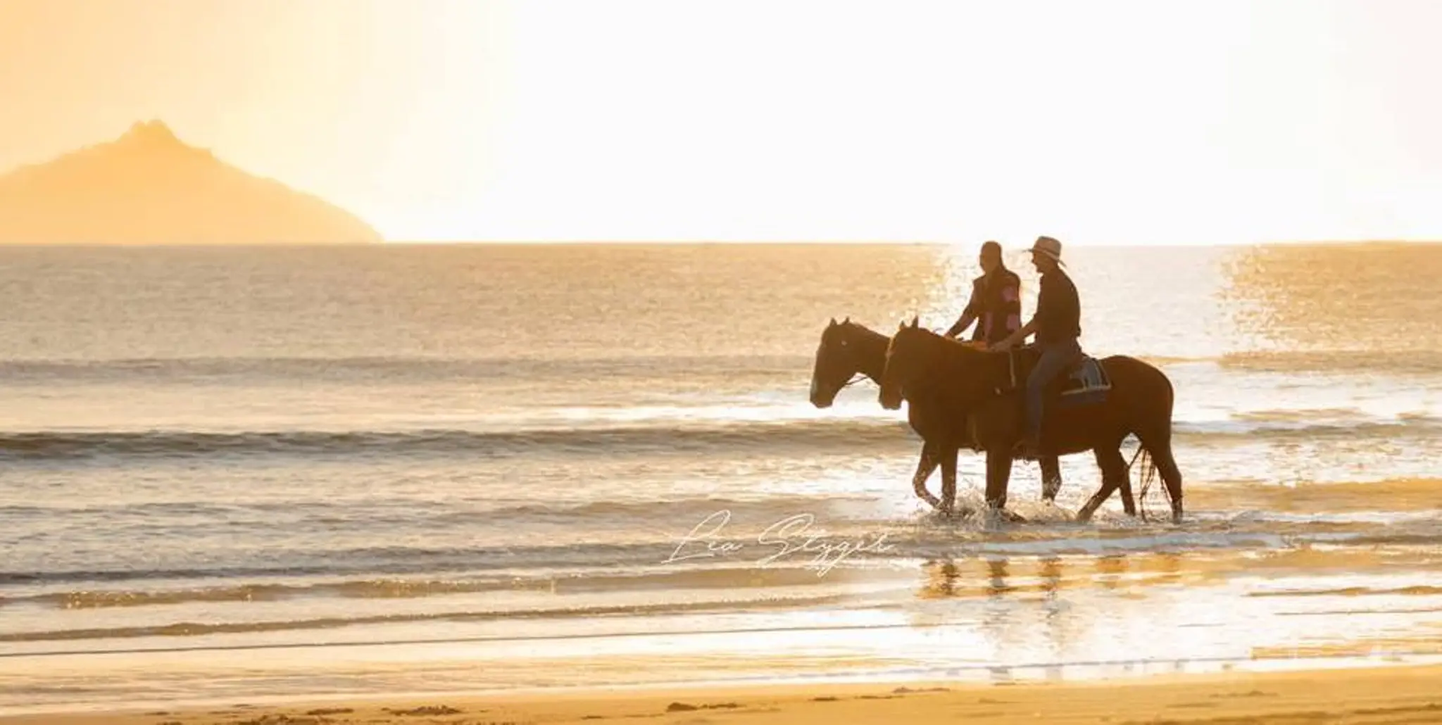 Tuidale Stables - Uretiti Beach horse treks