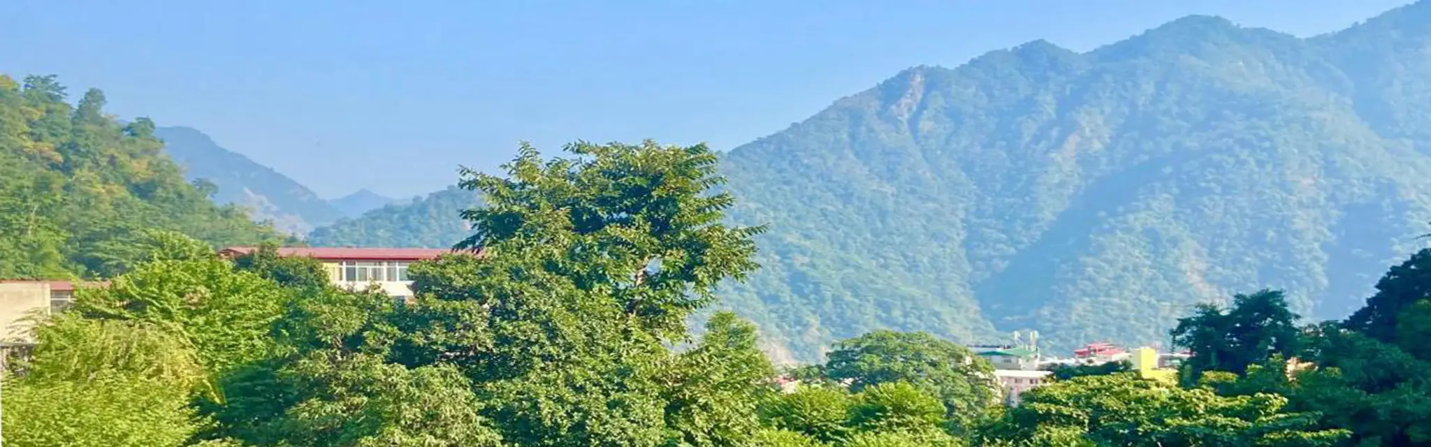 Shiv Holistic Yoga School