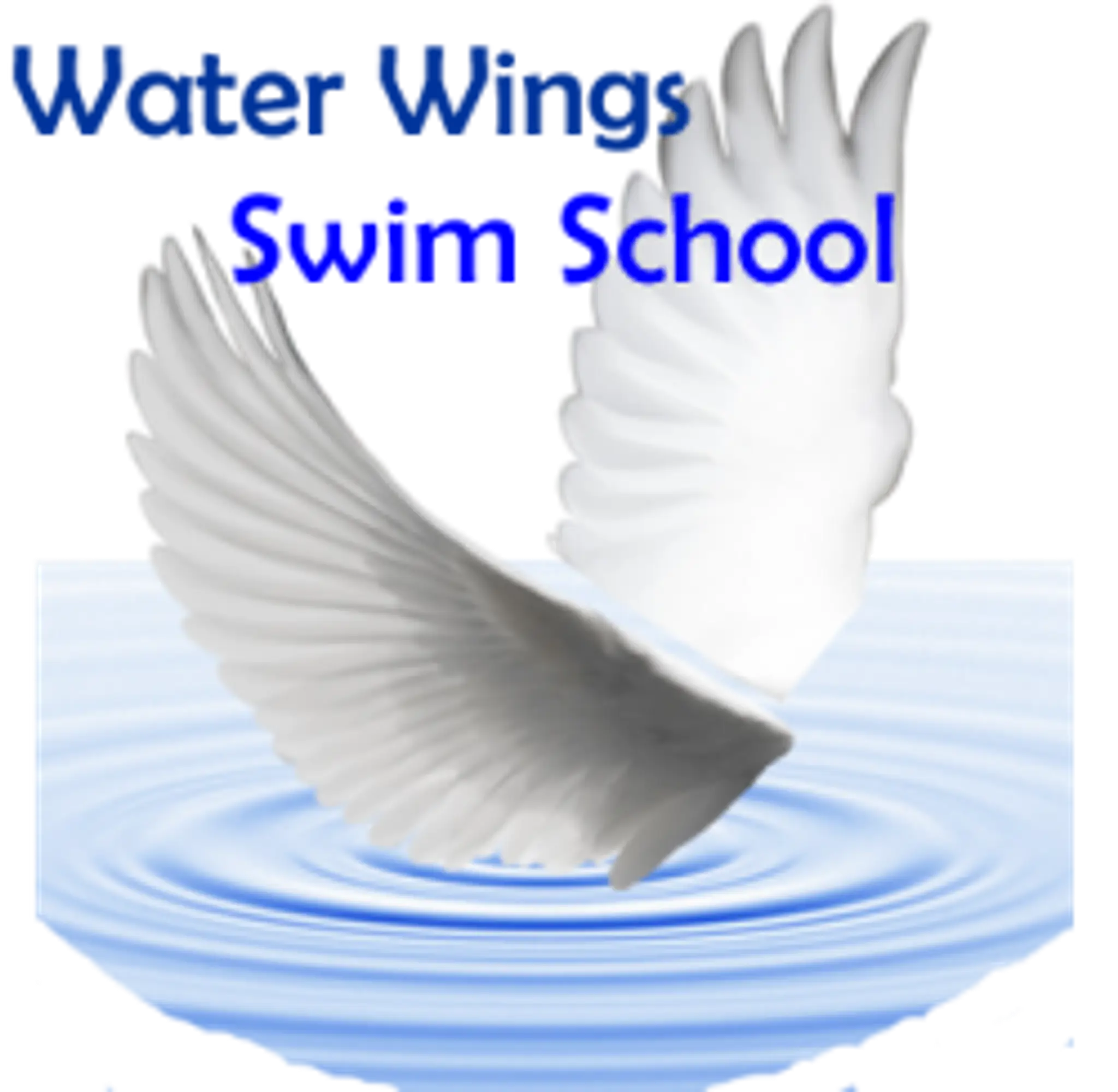 Bridgend Swimming Lessons Babies, Children & Adult