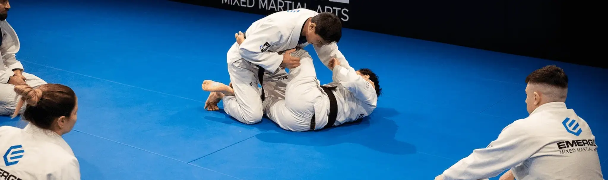 Emerge Martial Arts Academy | Fitness