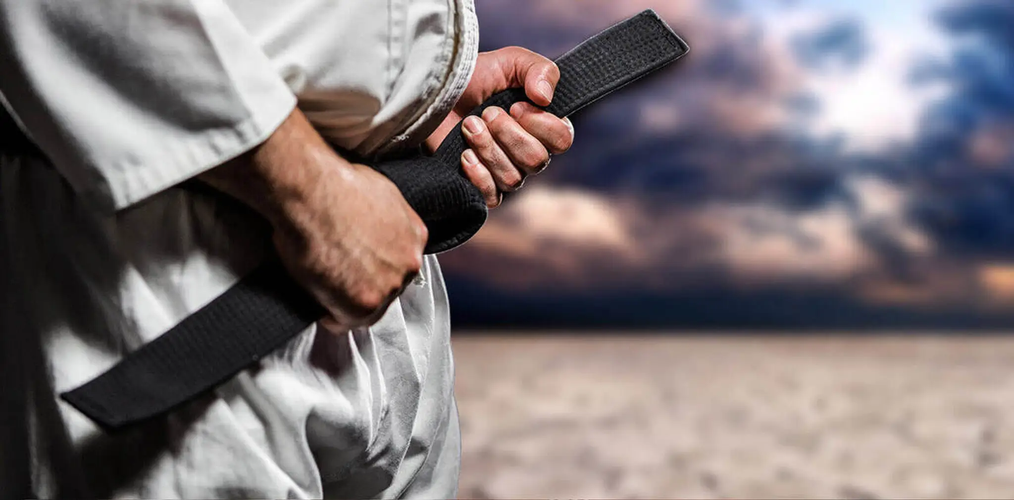 Pritchards Martial Arts Bangor