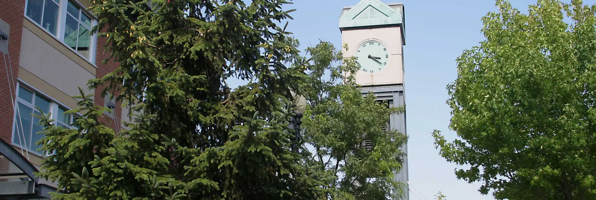 Pump Track ChilliWack by Velosolutions