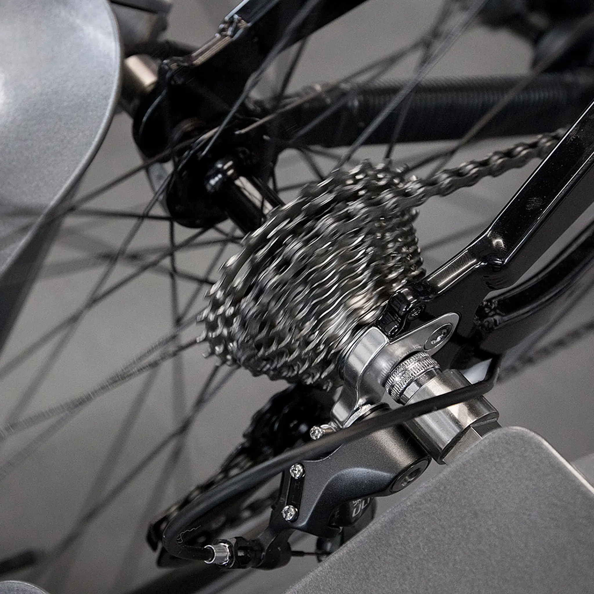 Conquer Training Inc.