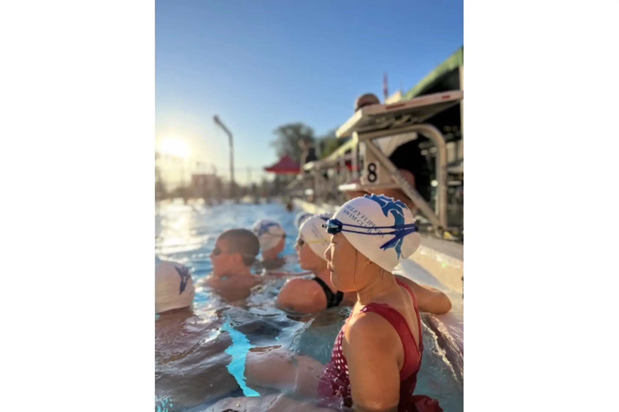 Langley Flippers Swim Club