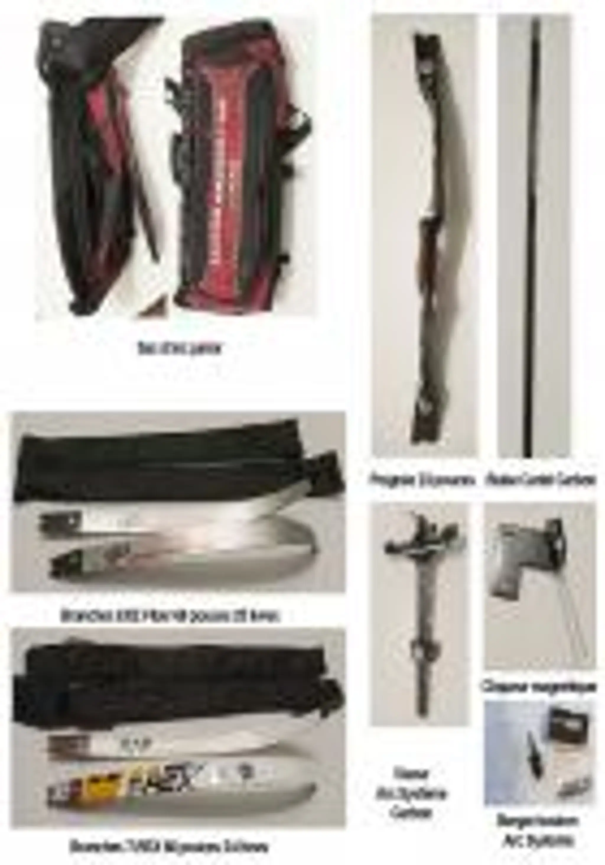 Compagnie d'arc de Saint-Maur