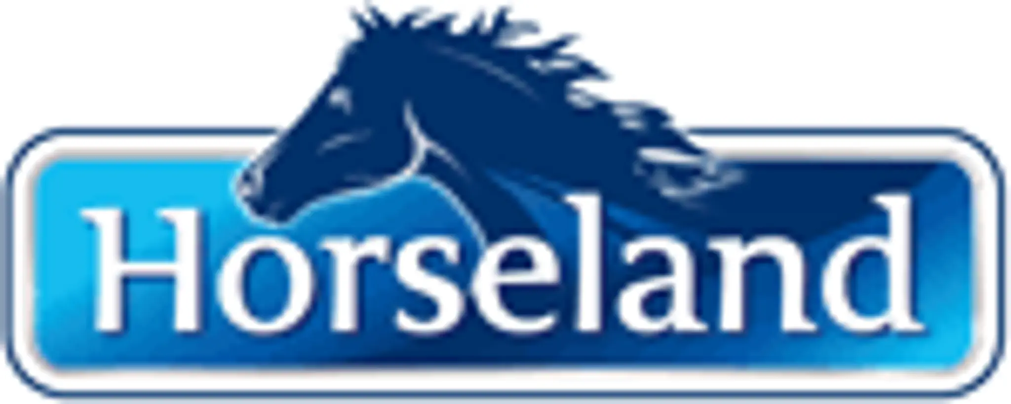 Pony Club Association of South Australia Inc