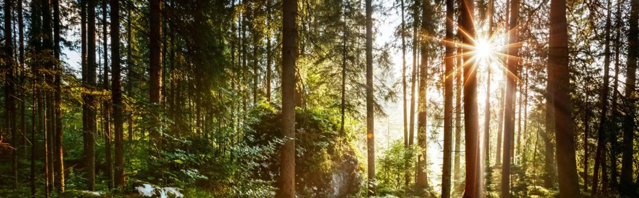 AH Personal Training Studio