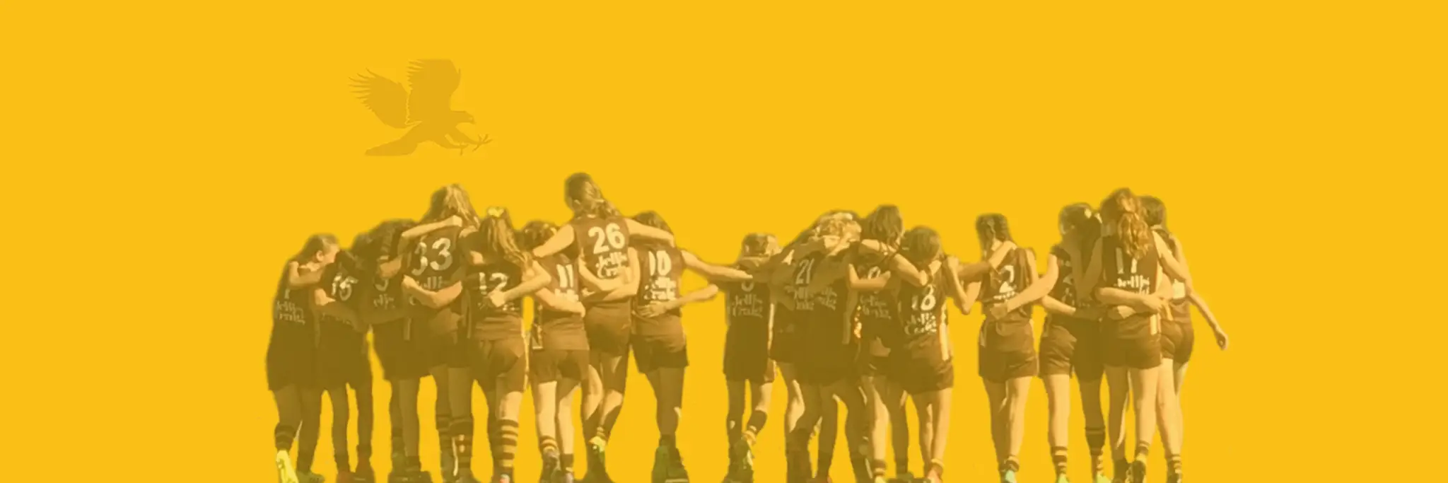 Hawthorn Citizens Junior Football Club