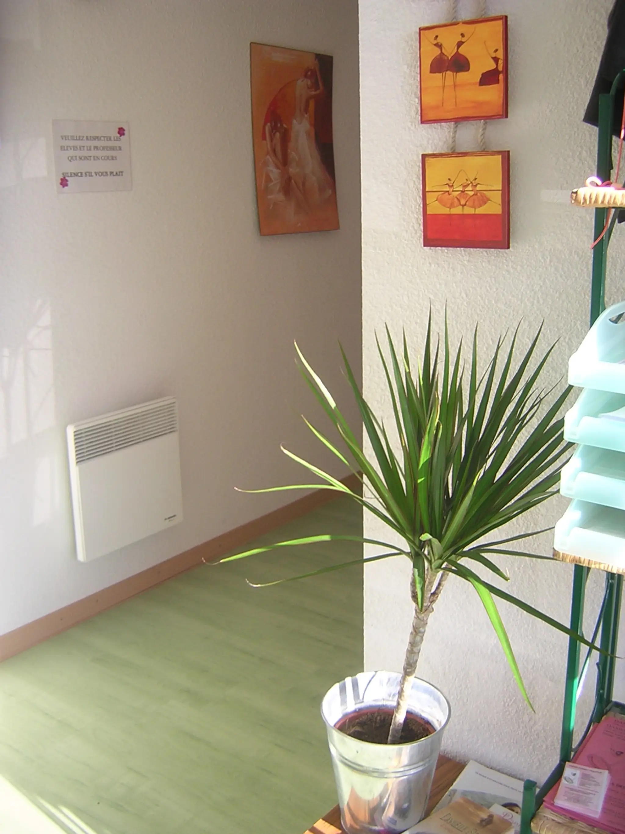 DYNAMIC DANCE- ECOLE DE DANSE- LUNEL- HERAULT