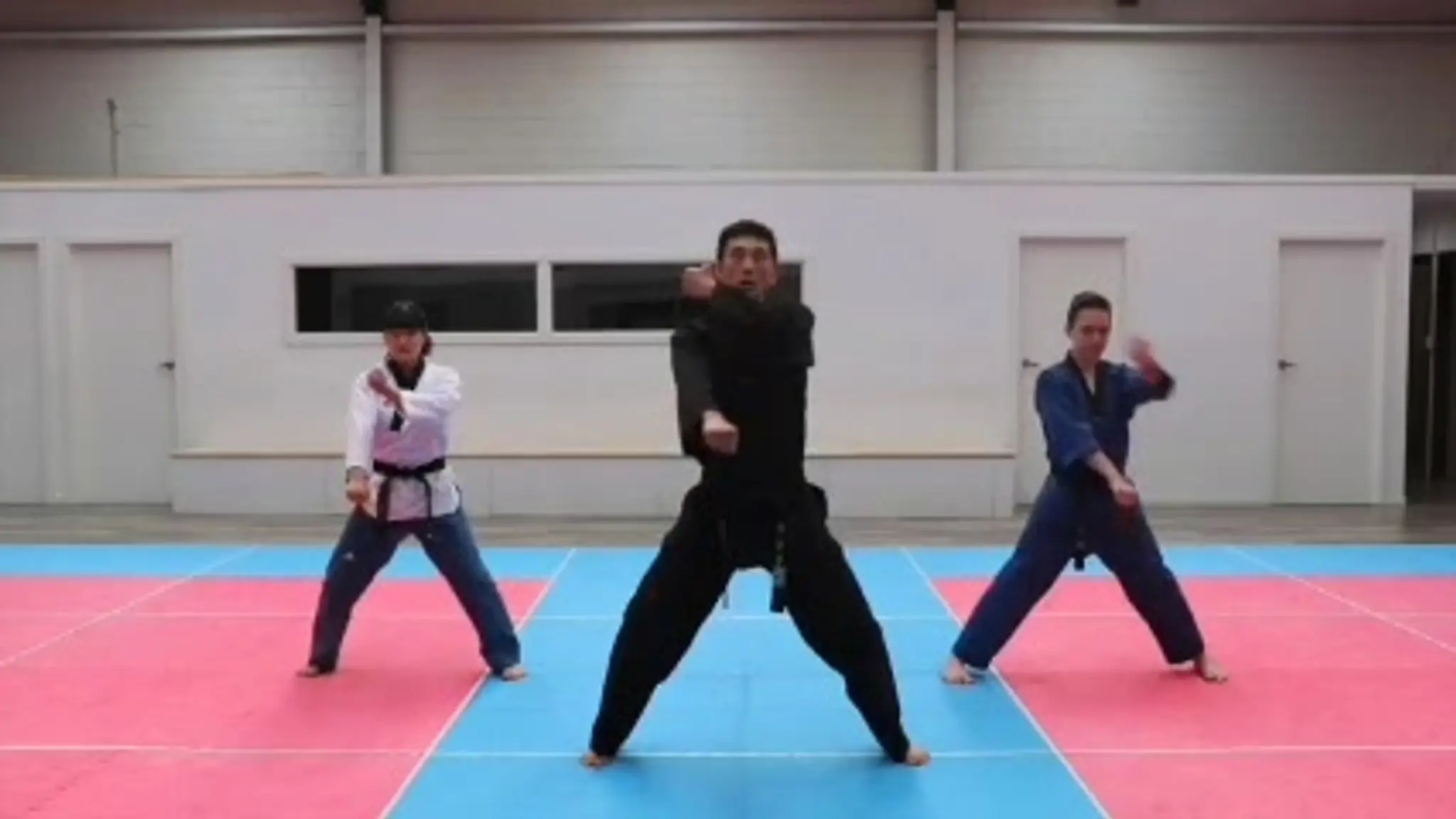 Tiger World Class Tae Kwon Do