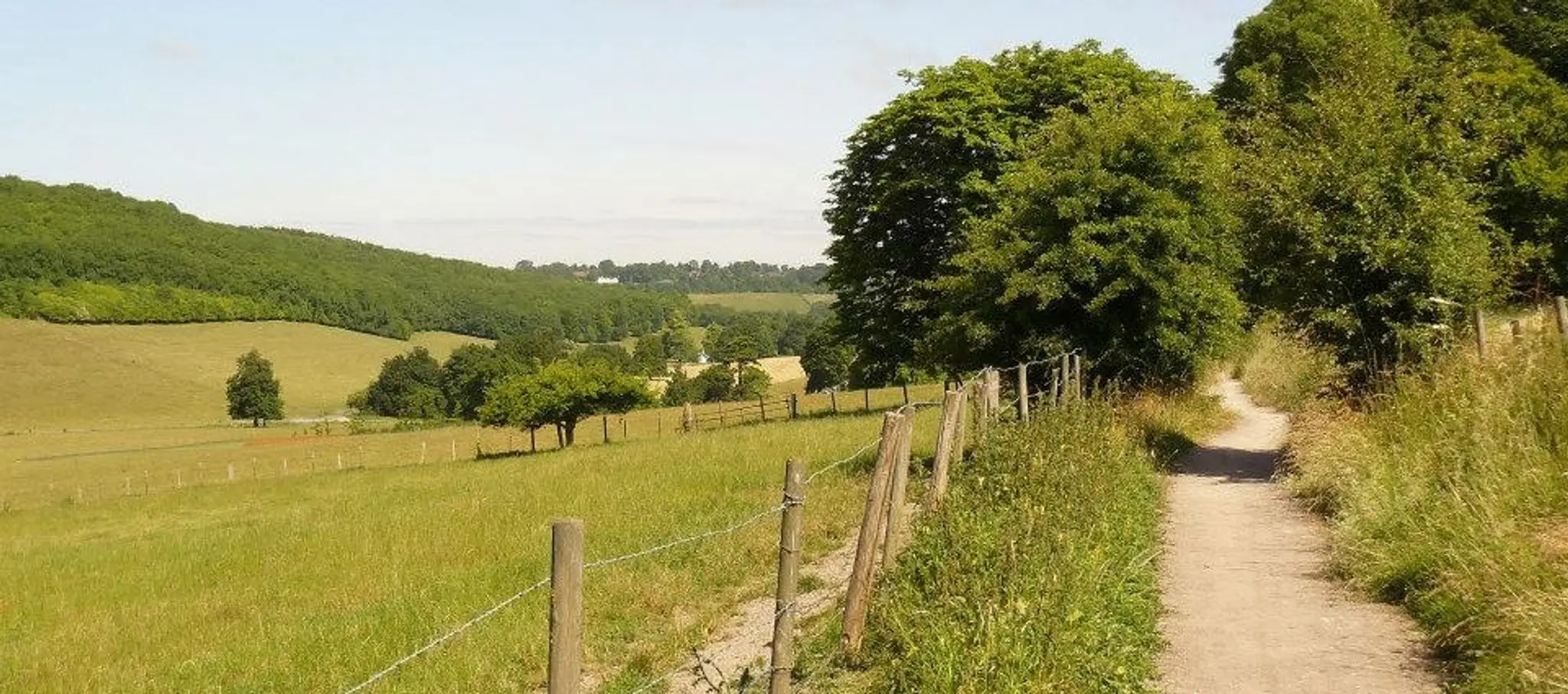 Beechwood Riding School
