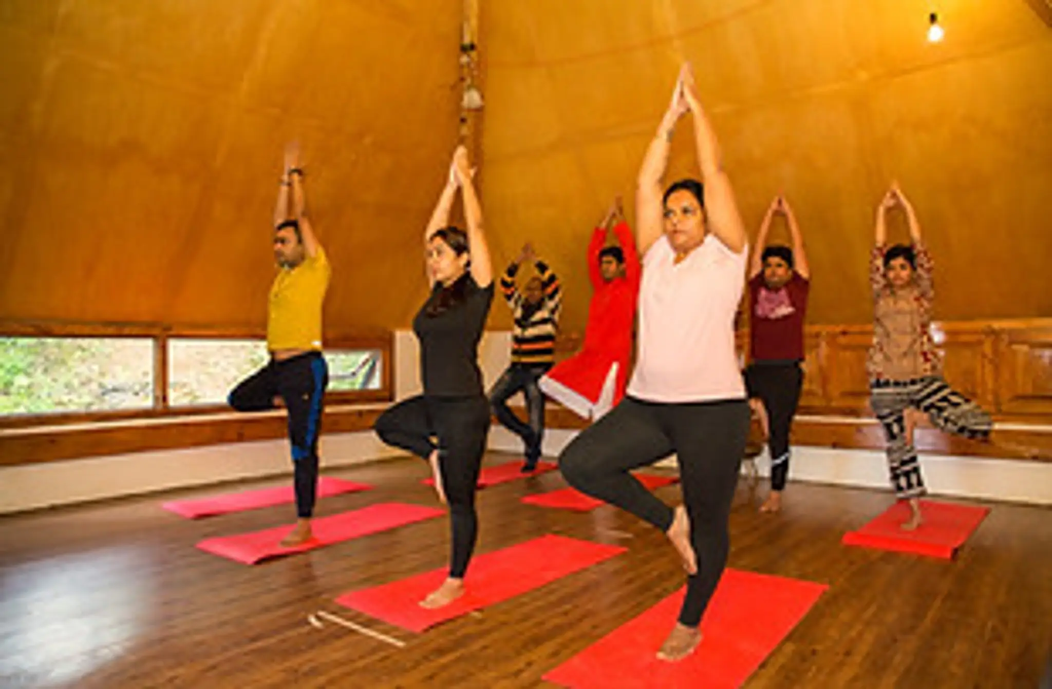 Pause n Learn Wellness Studio