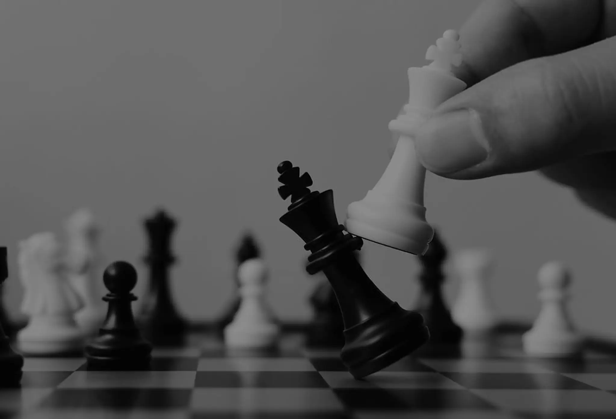 Chess Shoots Academy