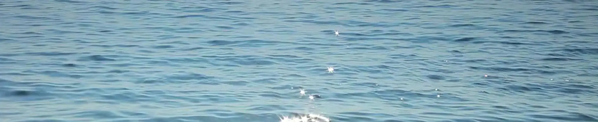 Vie en mer