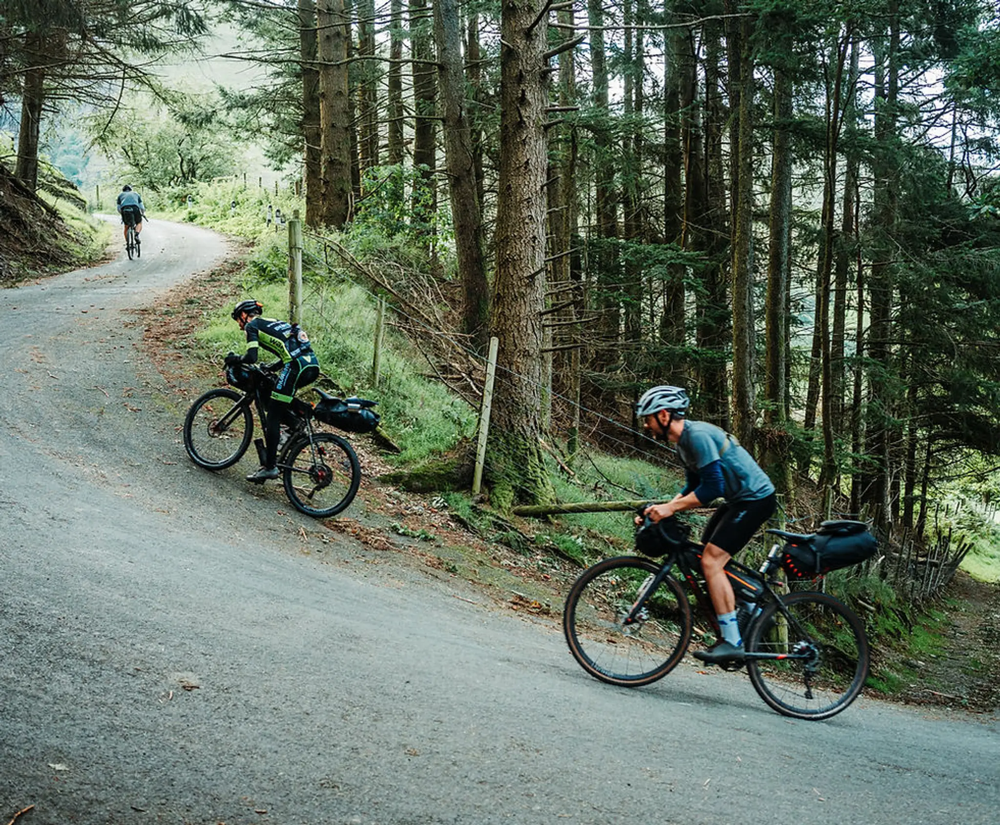 The Bike Fit Scientist