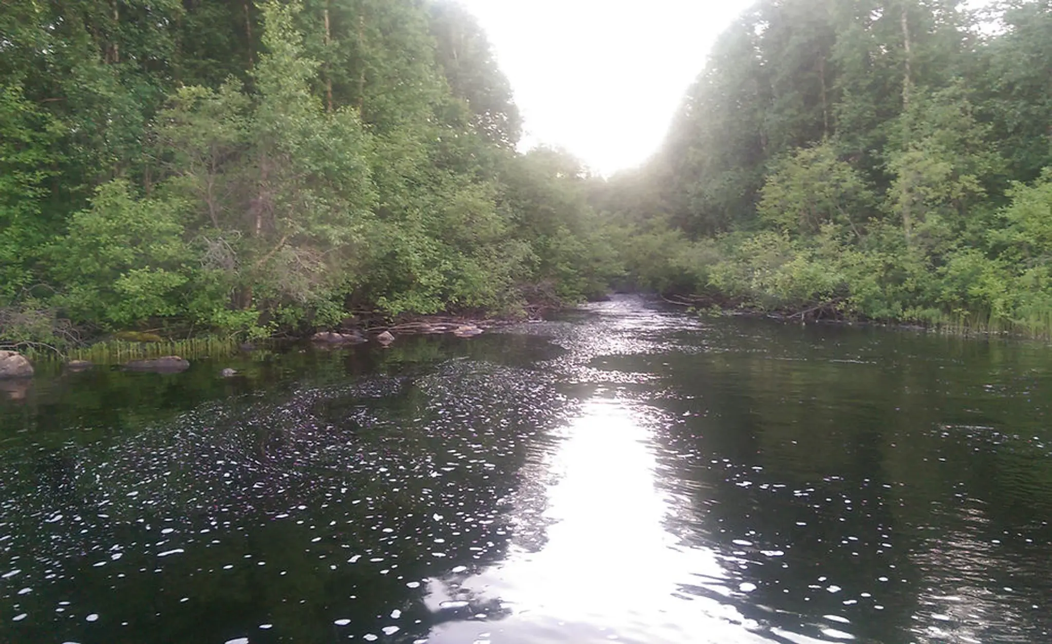 Grey Owl Outfitters