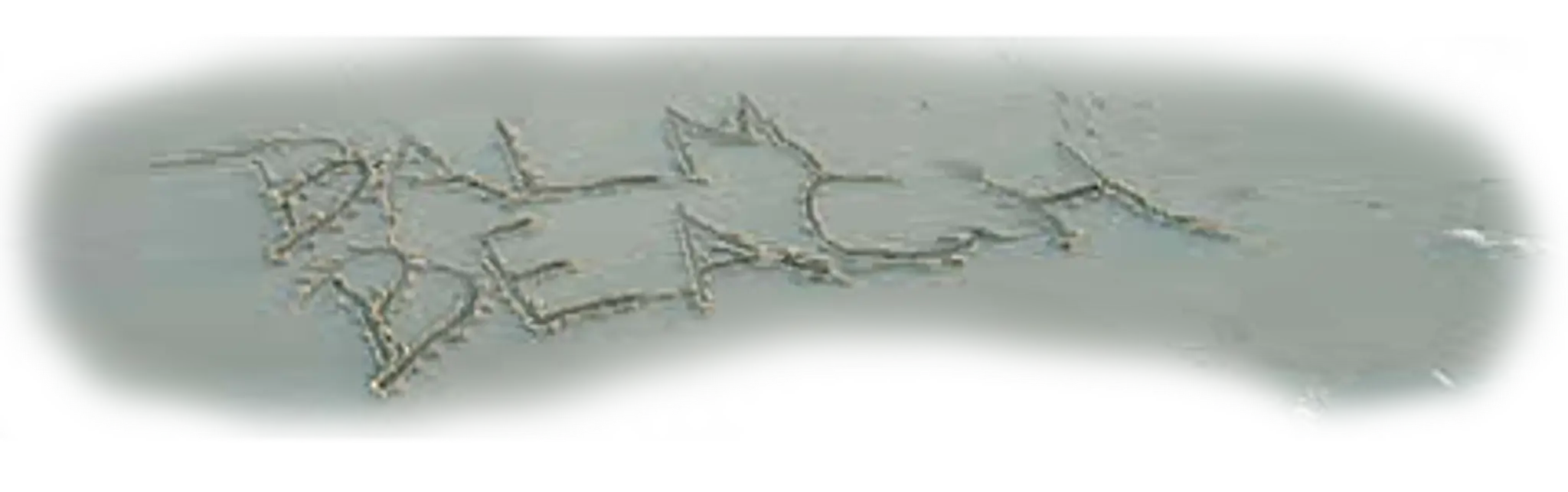 Balm Beach Resort & Motel