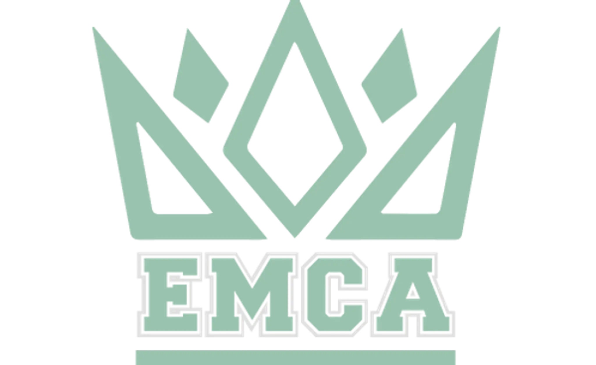 EMCA - The Cheer Gym