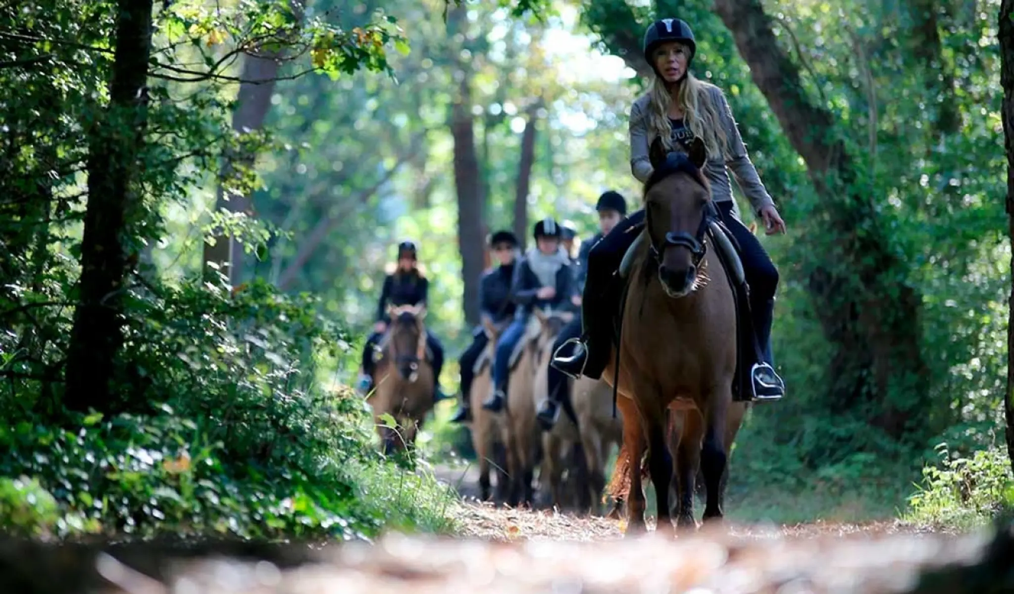 Equestrian Center Touquet Paris-Plage