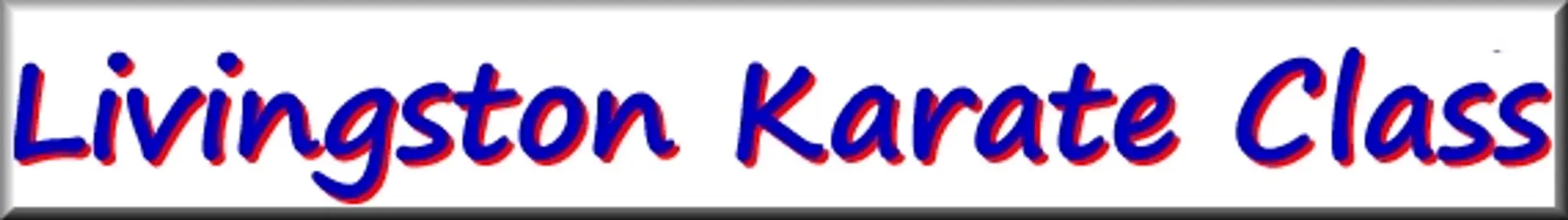 Livingston Karate Club