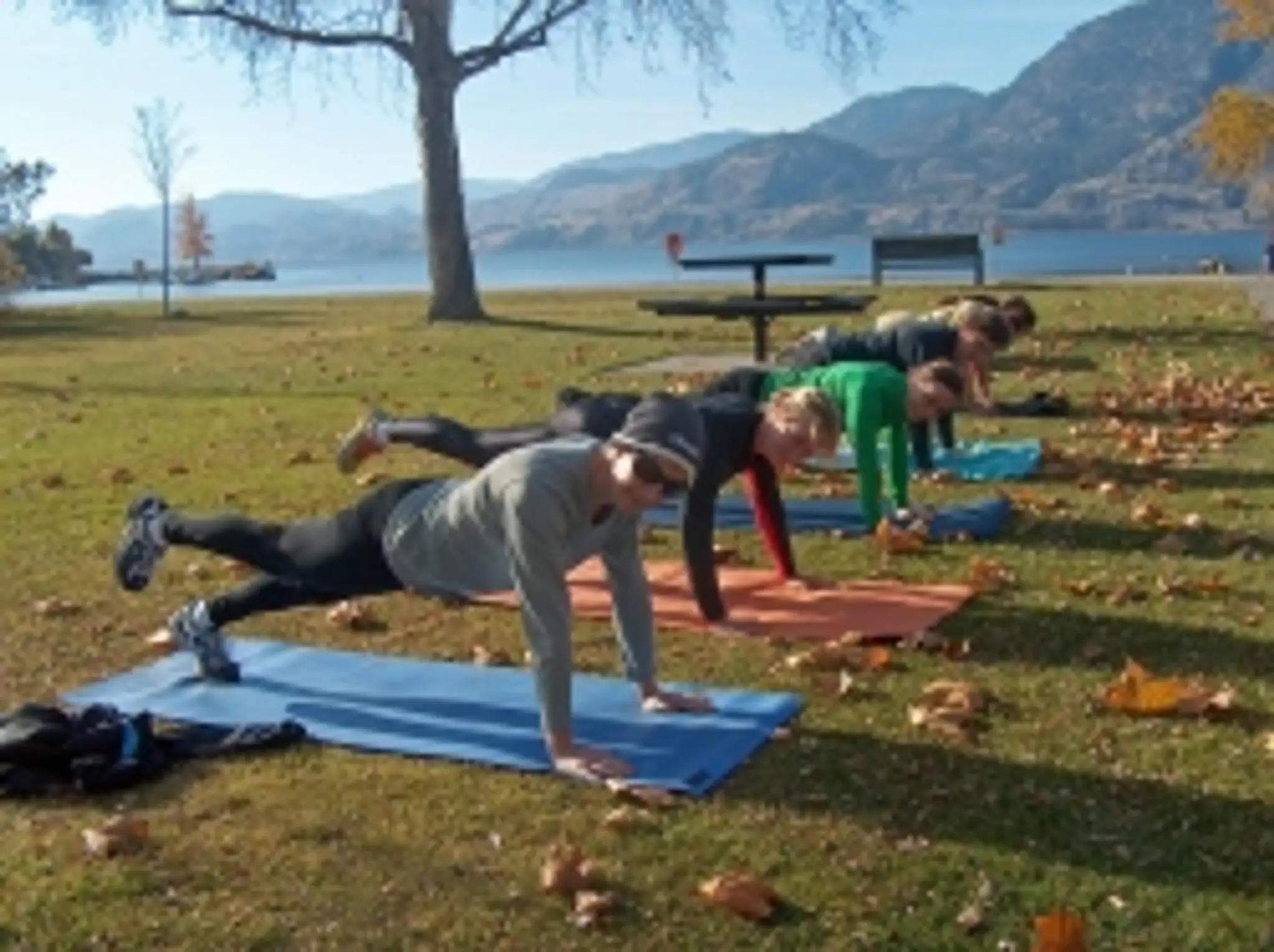 Progressive Elite Training